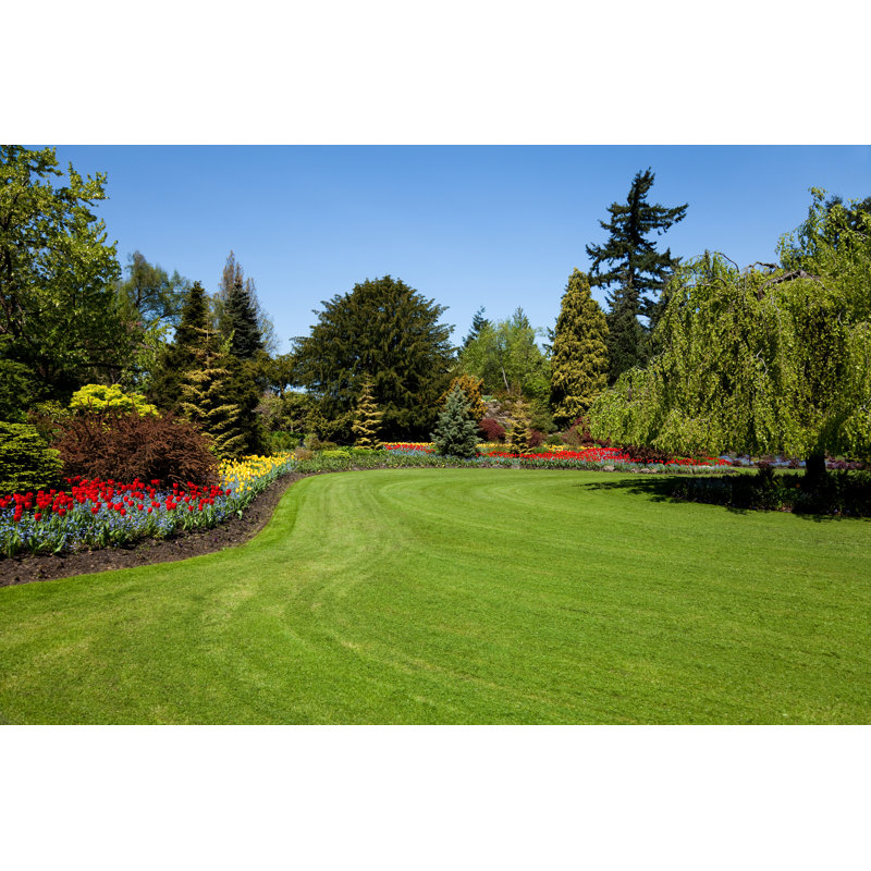 Flower Garden - Wrapped Canvas Print, 76cm H x 51cm W