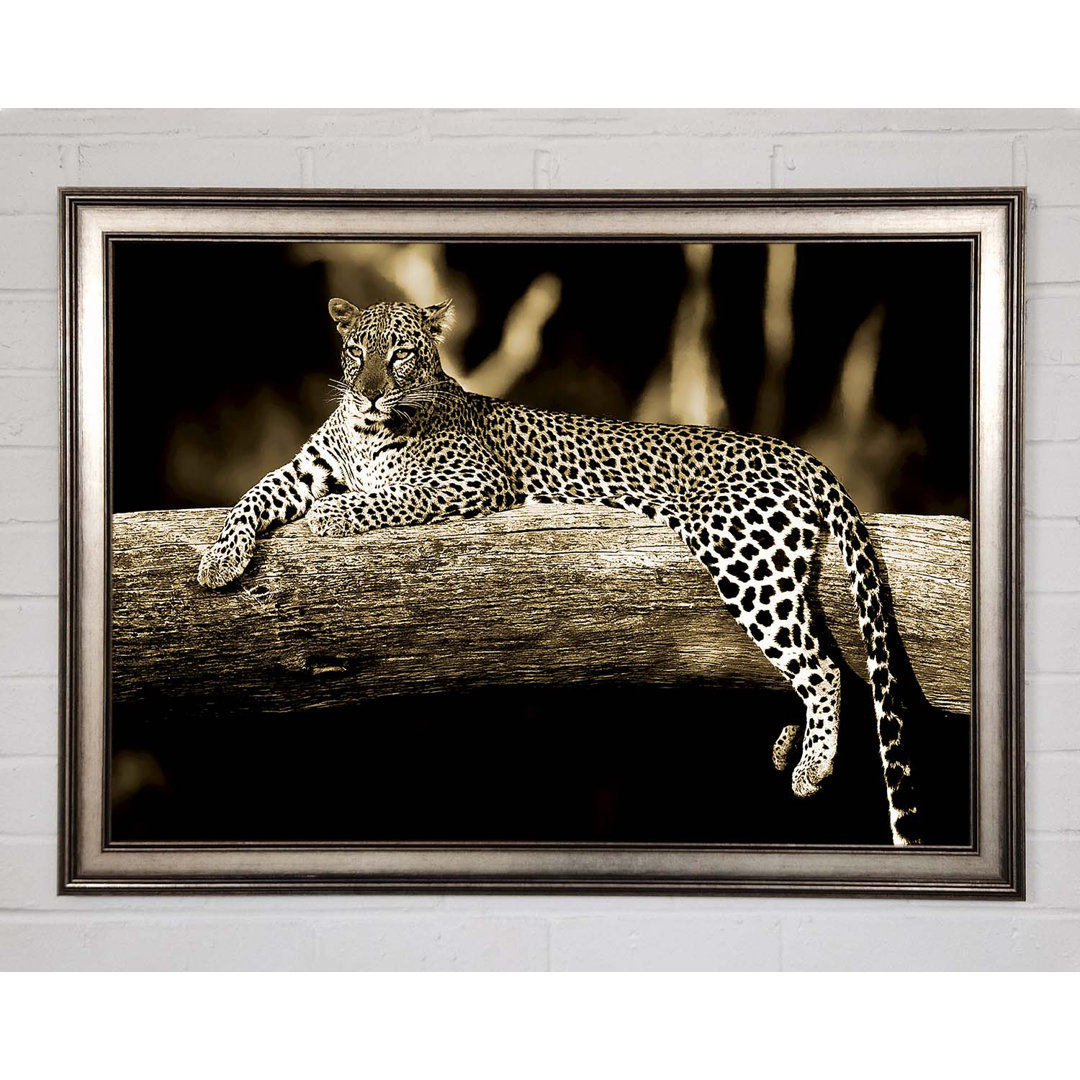 Leopard Lazy Days - Einzelner Bilderrahmen Kunstdrucke