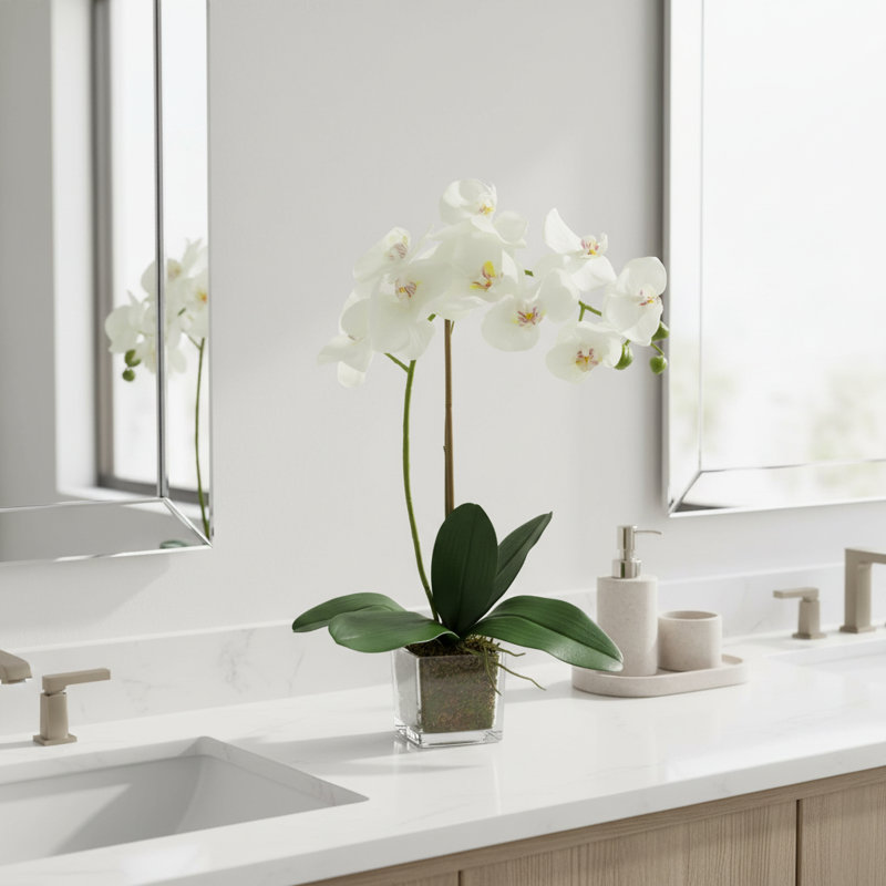 Kora Orchid Arrangement