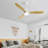 52 Inch Ceiling Fan Light With 6 Speed Remote Reversible Energy-Saving DC Motor Remote Control For Bedroom-1972880225-1972880230