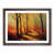 Walnut Framed
