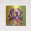 «Golden - Jasper» par Dawg Painter