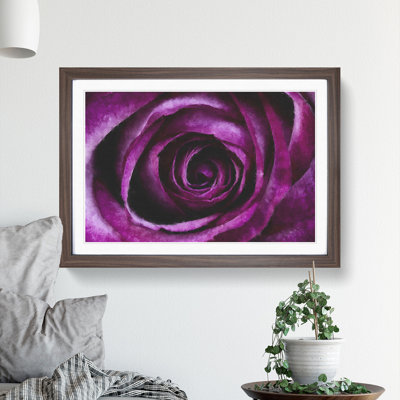 Purple Rose Flower Vol.2 - Framed Print