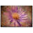 " Textured Aster " by Lois Bryan-10614655