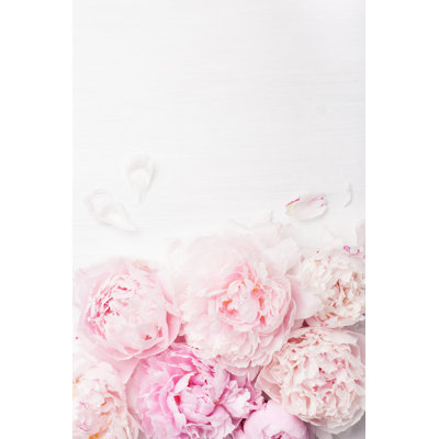 Beautiful Pink Peony Flower Background by Olgamiltsova - Wrapped Canvas Print