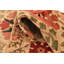 Tapis crème Nitta