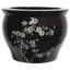 Flower Blossom Vase