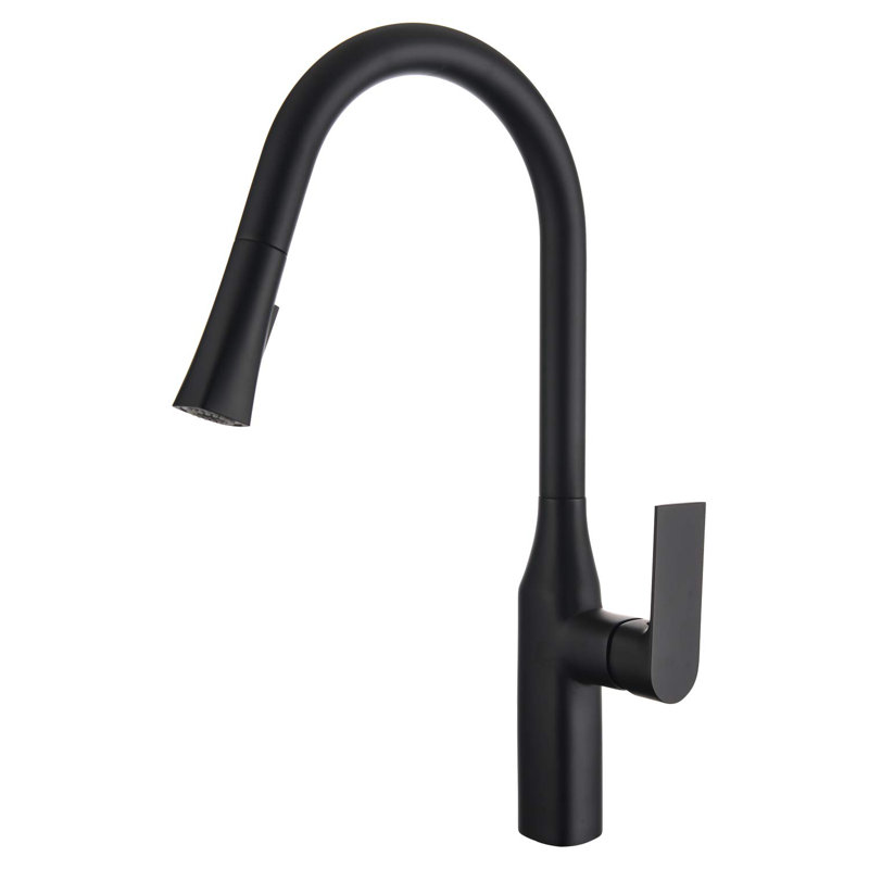 Robinet de cuisine à poignée simple Allure Series, Noir mat