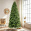 Sapin de Noël pin non éclairé-508809630