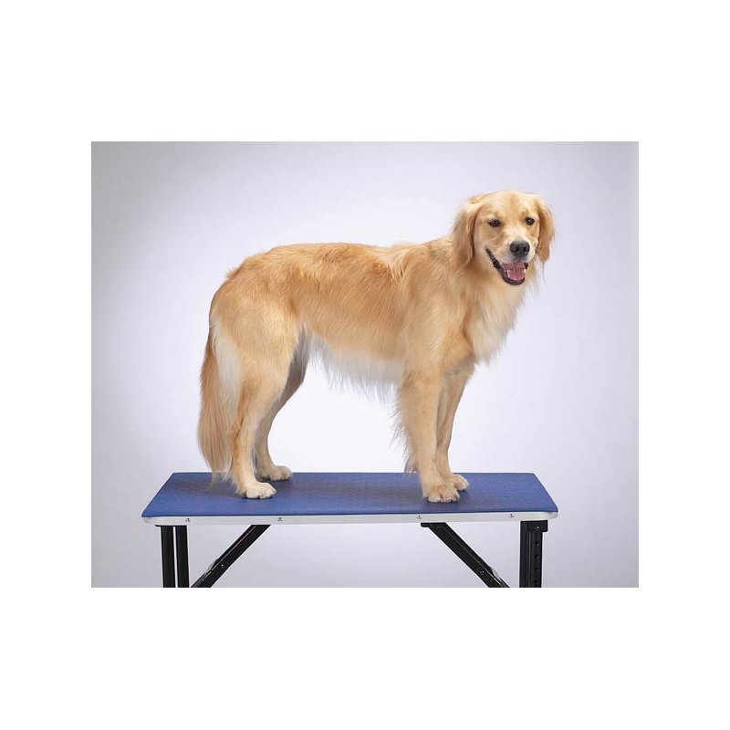 5.3'' H x 24'' D Plastic Adjustable Dog Table Accessory, 5.3" H x 48" W x 24" D, Blue