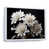Cadre flottant blanc