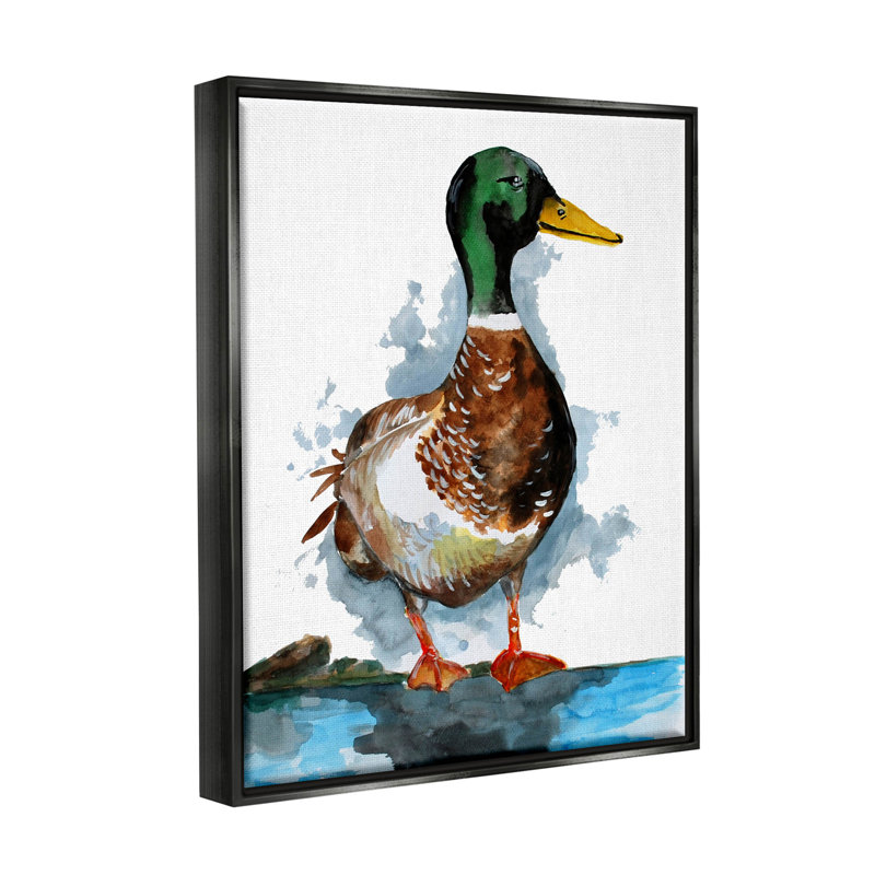 Impression sur toile, "Mallard Duck Water's Edge - Floater", H 21 po x l 17 po x P 1,7 po, Cadre flottant noir de jais