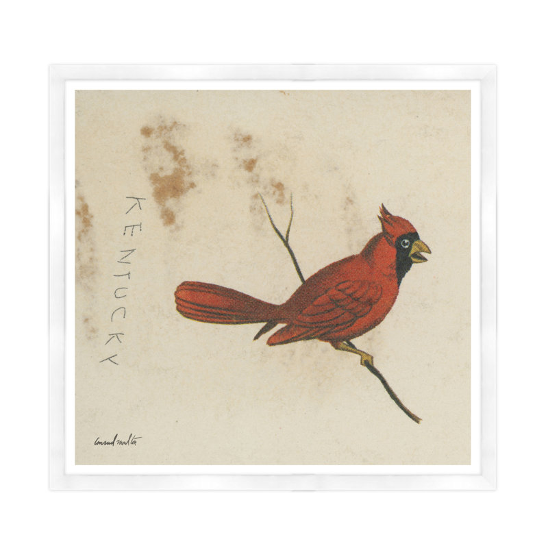 Cardinal Print, White Framed