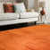 Natonia Shiny Shaggy Orange Area Rug