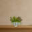 Succulent Garden Artificial Plant in Vase