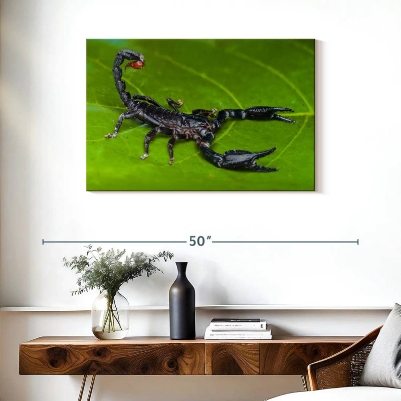 Crowle Forest Scorpion