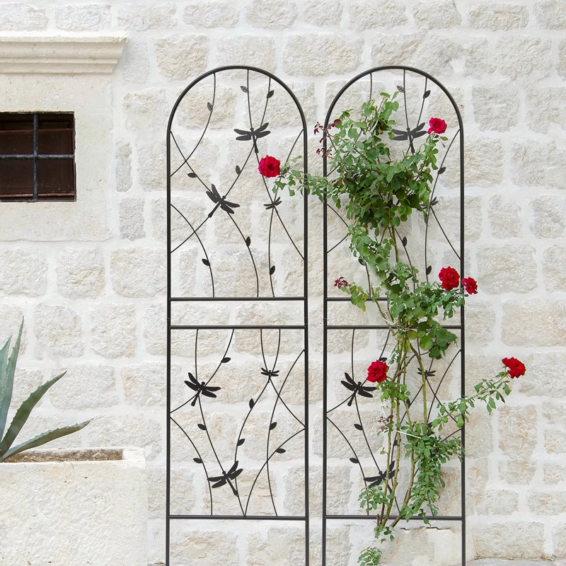 Ensemble de 2 treillis de jardin en métal antirouille 19,7 po, H 71,04 po x l 19,74 po
