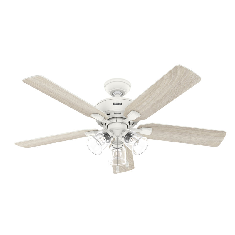 52" Rosner 5 - Blade Ceiling Fan With Lights and Pull Chains, Matte White