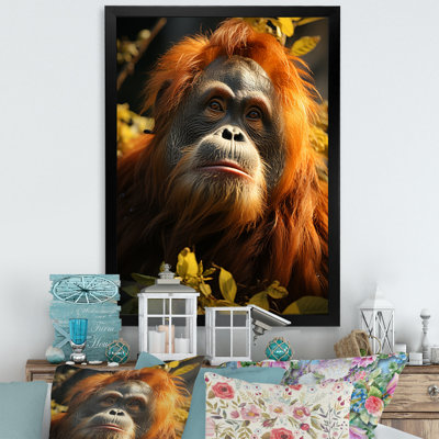 Orang-outan des singes dans la jungle ensoleillée