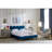 Maxime Floor Lamp