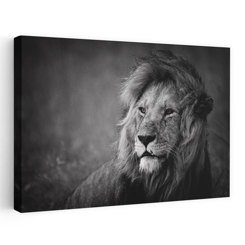 Art contemporain lion contemporain, H 24 po x l 36 po
