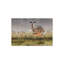 «The Tilters» par Maggie Vandewalle - impression sans cadre-988057482