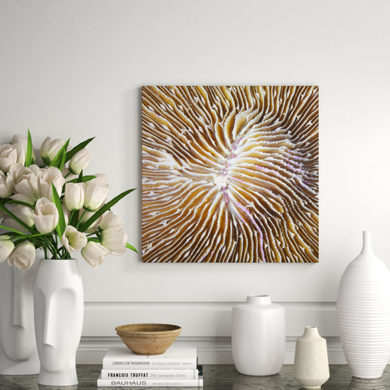 Underwater Beauty VI Print by Austin Beiv, 24" H x 24" W x 1.5" D, Glass Coat