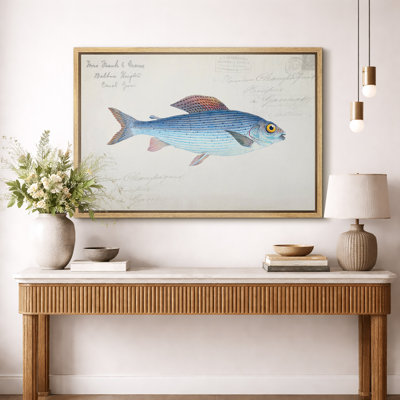 Vintage Blue Fish with French Script Artwork, Bathroom Pictures, Framed Canvas Giclee Print Wall Art.