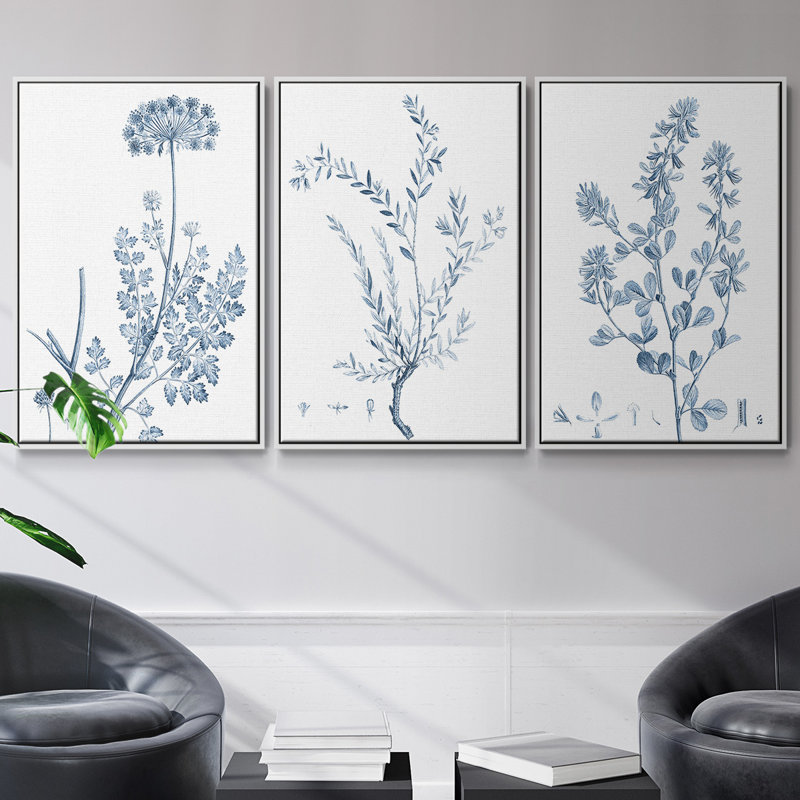 Ensemble de 3 pièces botaniques antiques encadrées sur toile V, Blanc, H 27 po x l 54 po