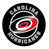 NHL Carolina Hurricanes