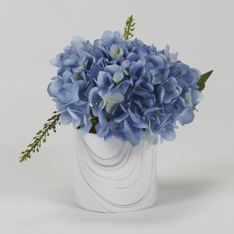 Magnifique hortensia en pot