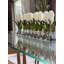 Hyancinths Floral Arrangement in Planter