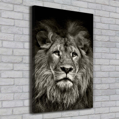 Lion - Wrapped Canvas Print