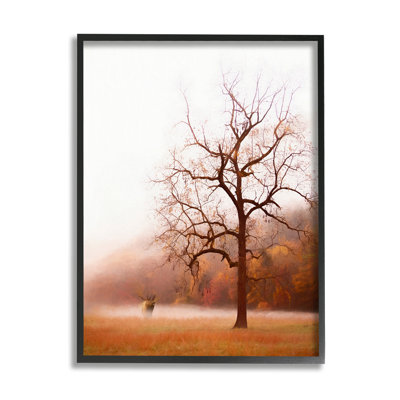 Automne, pré, paysage sauvage, Mo, par Phburchett, 963