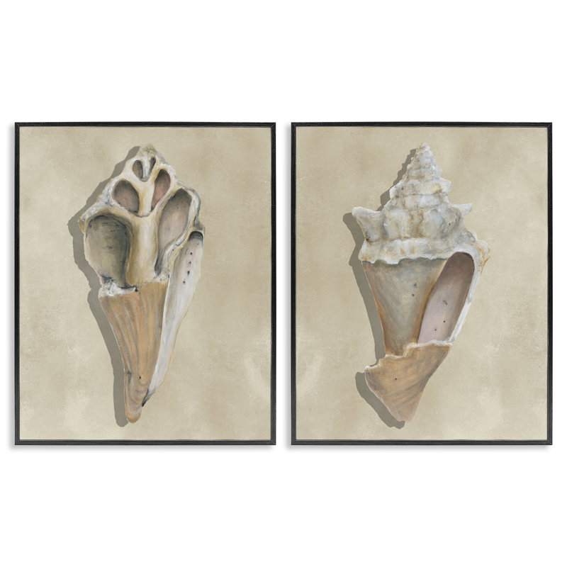 «Broken Beach Shells», ensemble de 2 giclées par Michael Willett, H 14 po x l 11 po, Giclée encadrée noir minuit
