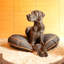 Signature Urban Denim Round Pet Duvet Cover-6144251