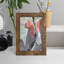 Tropic Parrot II encadré sur papier-1847621154-1847621179