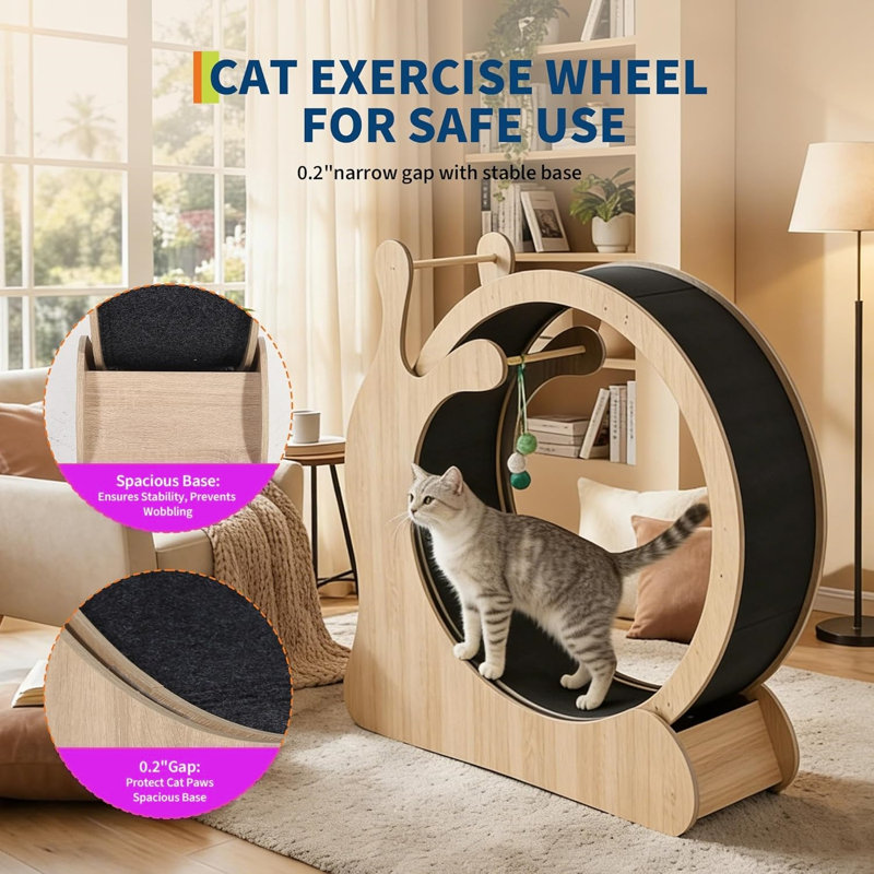 Grand tapis roulant pour chat 3 en 1 avec planche à gratter et balles de jeu, roue pour chats, Beige