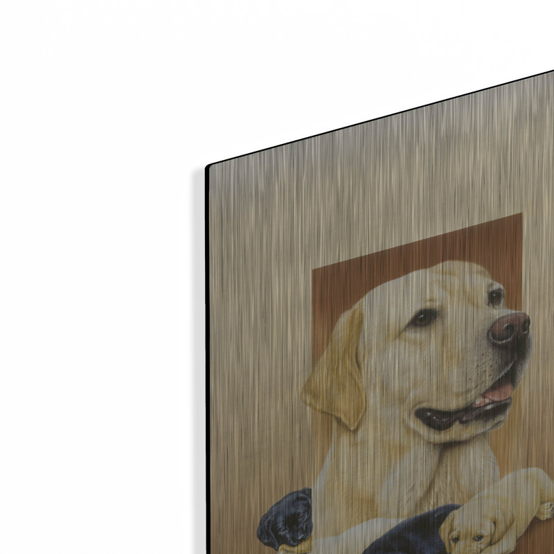 "Labradors" par Harro Maass, H 16 po x l 12 po