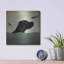 «Black Dog Swim» par Ryan Fowler-840397112