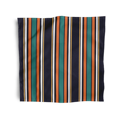 Lidiaidia Multi-Stripe Napkins