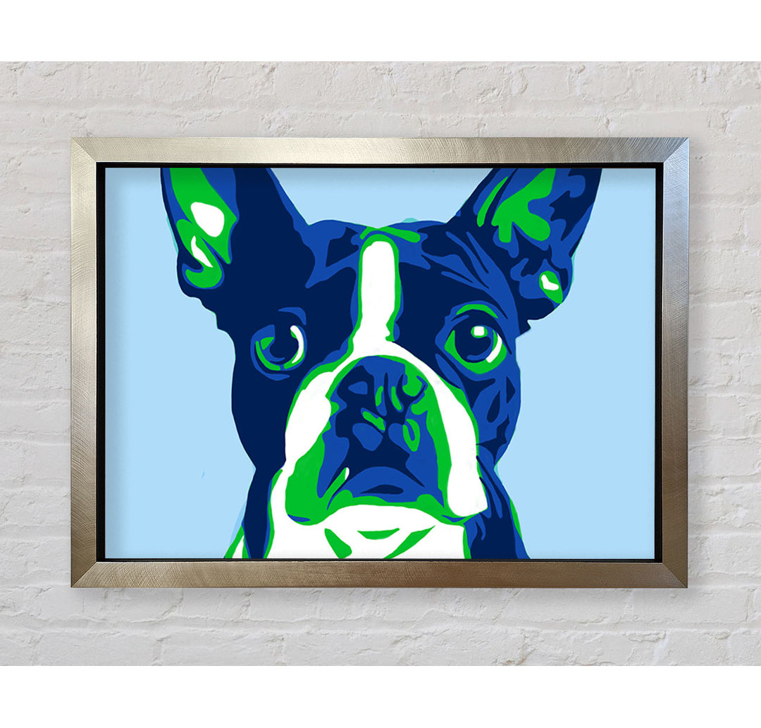 Die Französische Bulldogge Pop Art - Einzelne Bilderrahmen Kunstdrucke