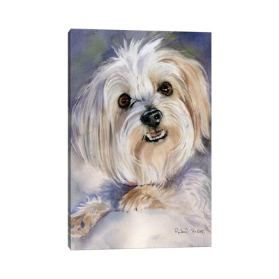 Maltese Portrait Rachel Varner by Rachel Parker - Painting on Canvas