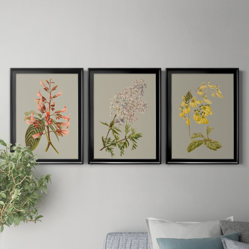 «Botanical Array I», ensemble de 3 impressions sur toile encadrées, Toile avec cadre noir, H 18,5 po x l 73,5 po x P 1,5 po