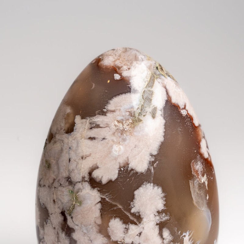 Véritable forme d'agate florale polie de Madagascar (1,15 lb)