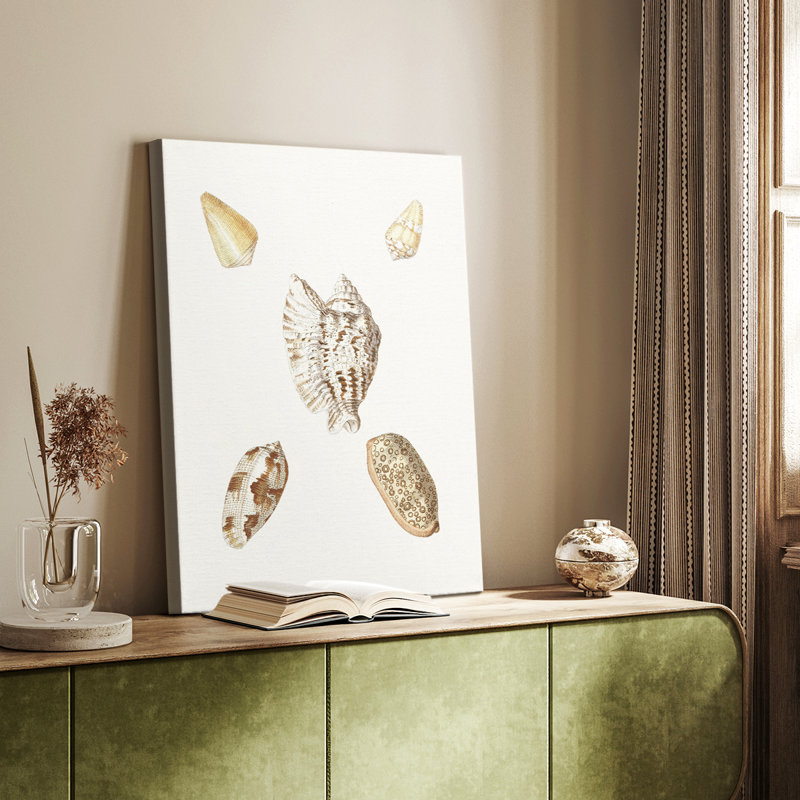 Pastel Knorr Shells VI - Cavas enveloppés de galerie, H 27 po x l 18 po