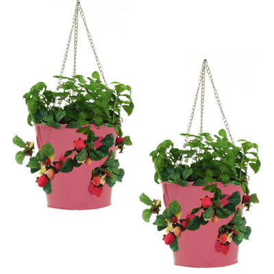 Pot à fleurs suspendu en acier galvanisé Inverleigh