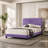 Contemporary Purple Full Size Bed