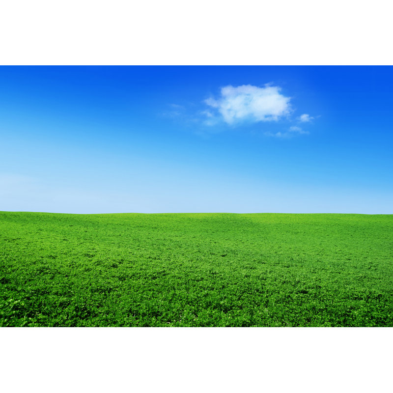 Sky & Field by Pepelaguarda, 24" H x 36" W