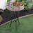 Aliyah-Lilly Glass Birdbath